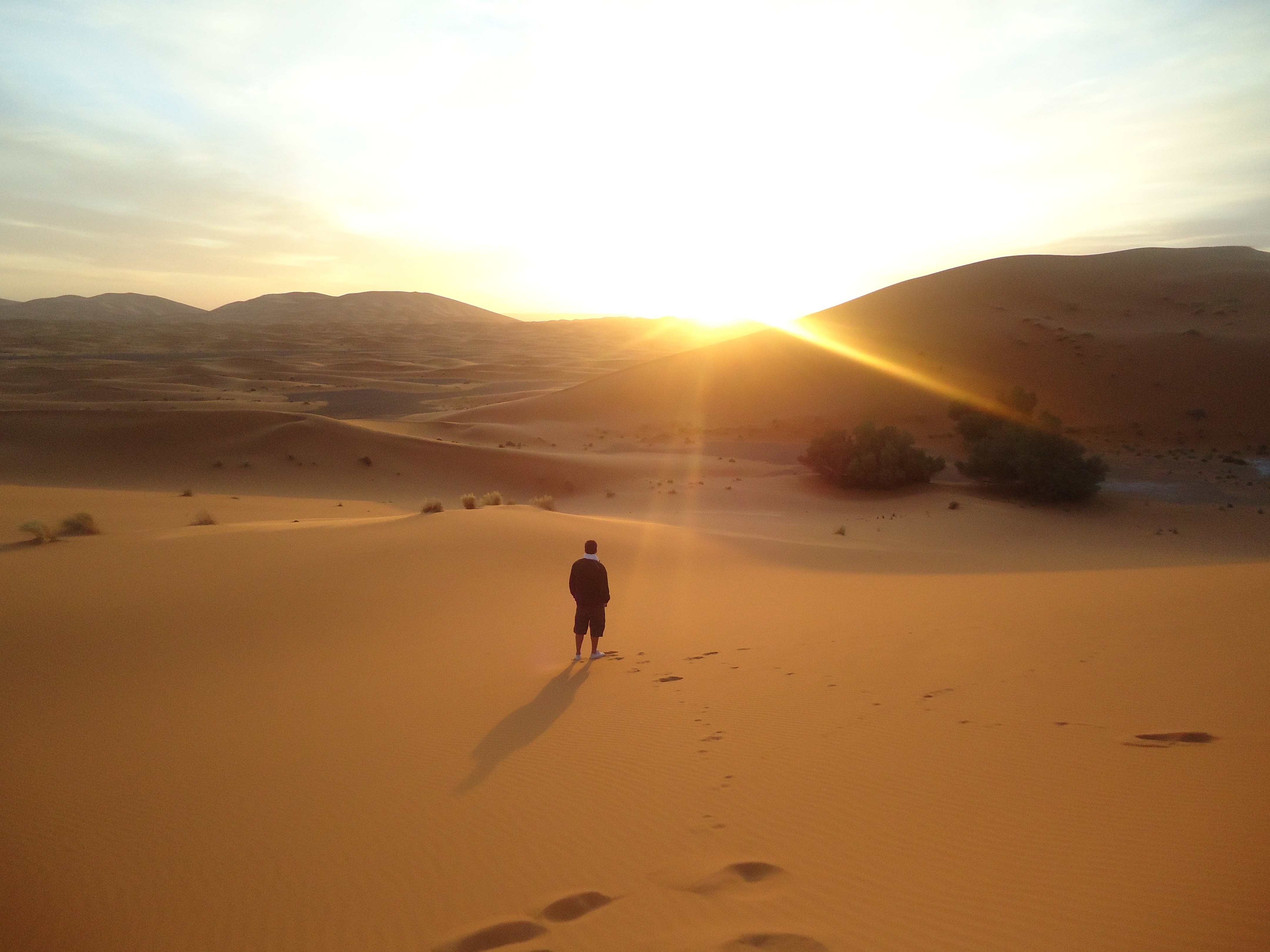 Backlit dawn desert 