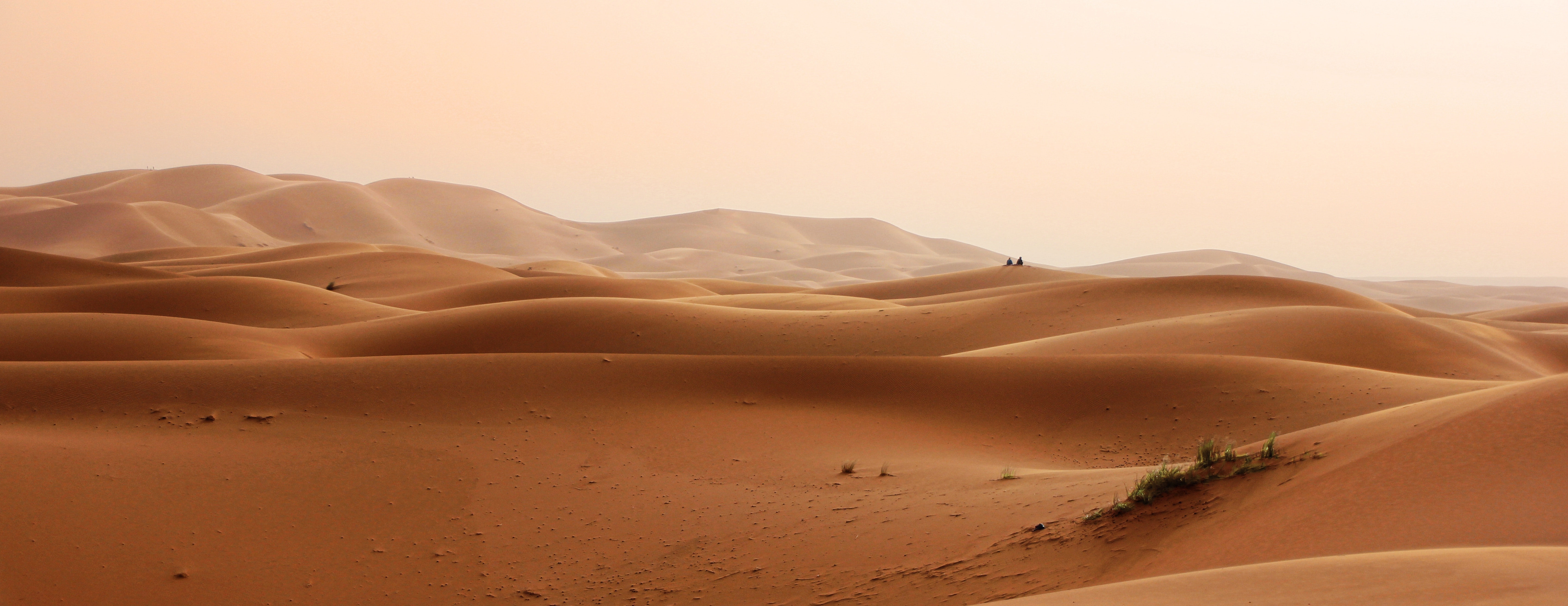 Daylight desert drought